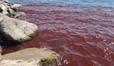 Locals panic as Sea of Galilee turns blood red in Biblical scenes - World News - News