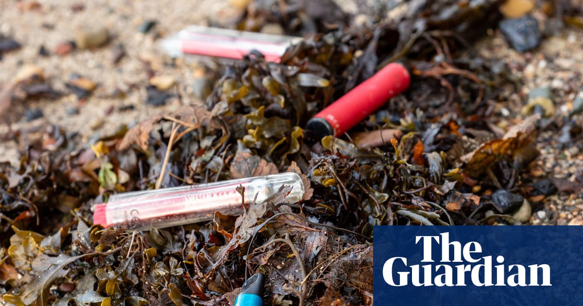Increase in vapes found on Britain’s coastline by beach clean volunteers | Plastics
