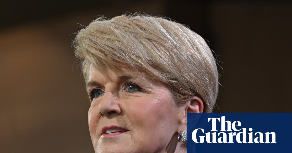 Academic labels Julie Bishop ‘hostile and arrogant’ in tearful evidence to ANU inquiry | Australian universities