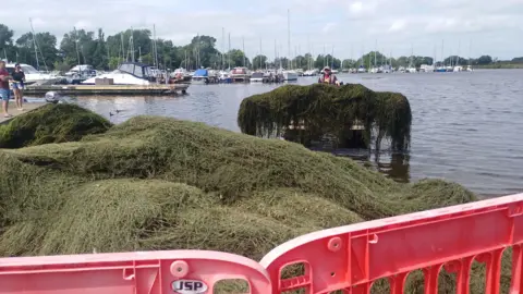Pictured is Lough Neagh, with a large pile of weeds floating on top of it, to the front of the image. There are dozens of boats parked up in the distance. 
