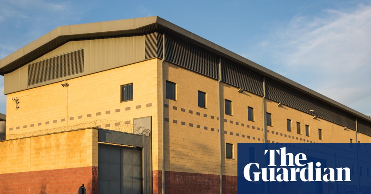 Minister orders immigration centre to remove ‘balloon craft’ job ads | Immigration and asylum