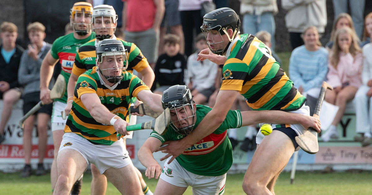 Glen Rovers stars old and new combine to book knockout place