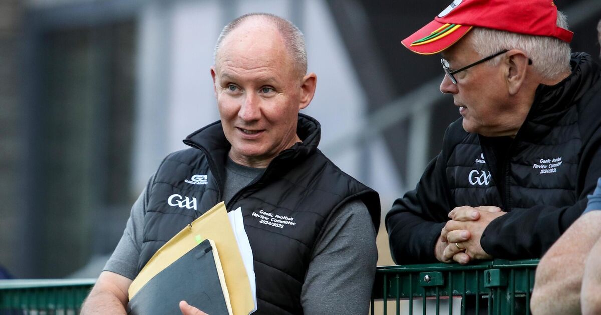 Jim Gavin to seek Fianna Fáil presidential nomination as ministers rally behind him