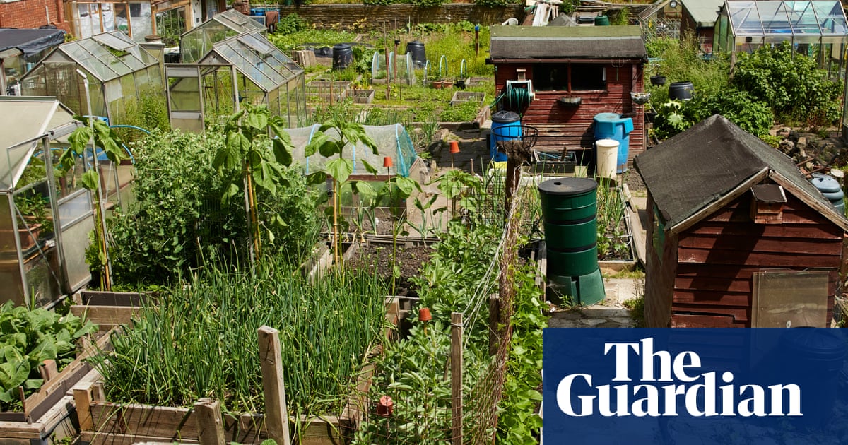 Jeremy Corbyn warns new rules on council asset sales threaten allotments | Local government