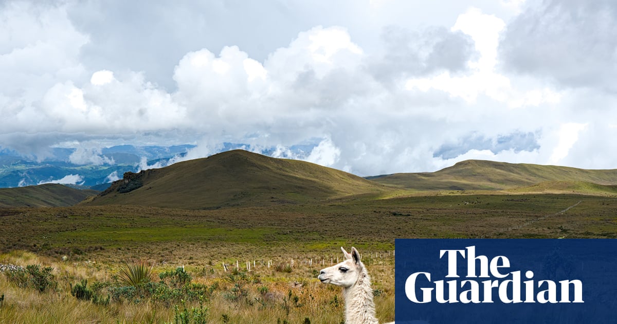 Tapirs, hummingbirds and a billion-dollar bedrock of gold: the Ecuador reserve that is now a battlefield over a new mine | Global development