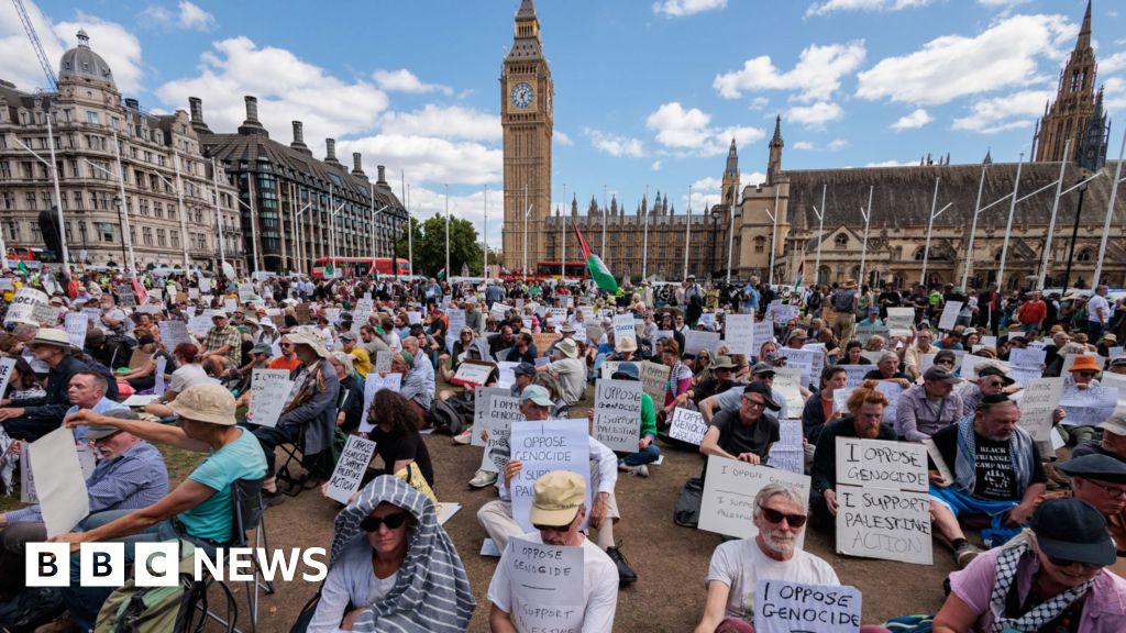 Palestine Action protest arrests rise to more than 500