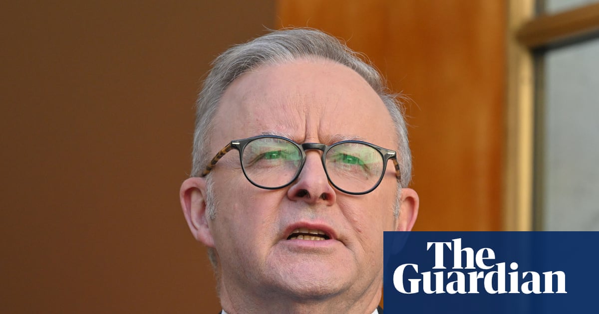 Potential Trump tariff retaliation not a factor in Palestinian state decision, Albanese says | Australian foreign policy