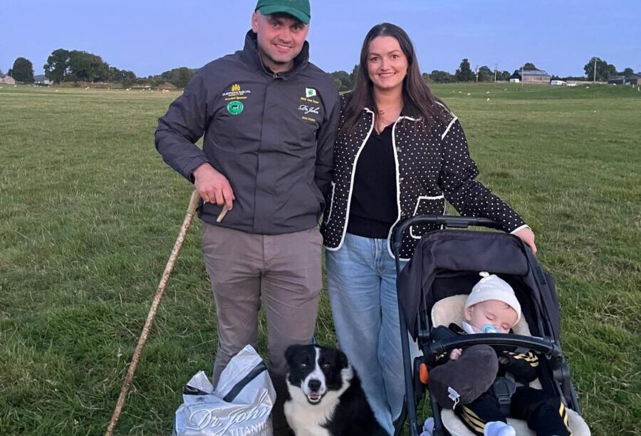 Donegal man to feature on Irish International Sheep Dog Trials team