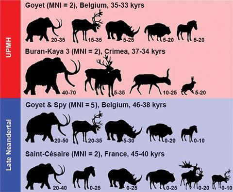 Relative proportions (in %) of different prey species to the protein intake of UPMHs and late Neandertals
