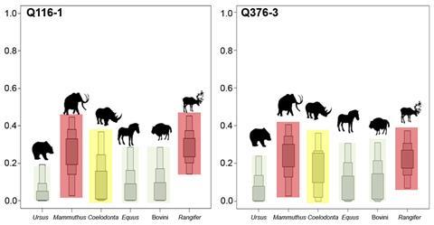Box plots of the relative contributions (in %) of different prey species to the protein portion of the diet of the UPMHs from Goyet
