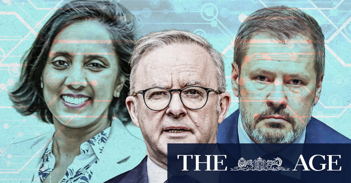 Splits in Albanese’s caucus as government moves to kill AI laws