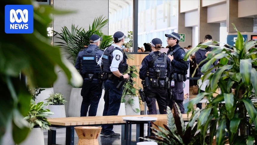 Man on bail over Sydney Airport incident charged with assault at Central train station