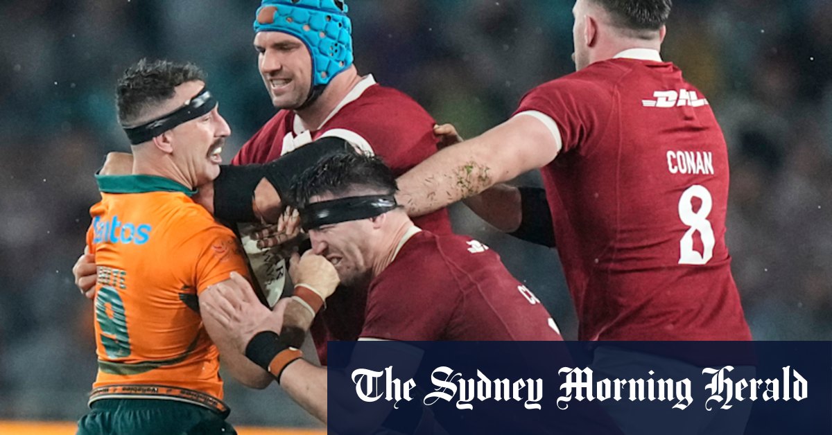 Wallabies say fighting attitude behind Lions win is here to stay