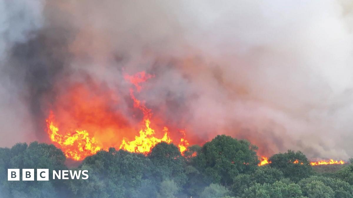 Orange and red flames in the trees and white smoke flowing up into the sky seen from above a large fire on a heath.