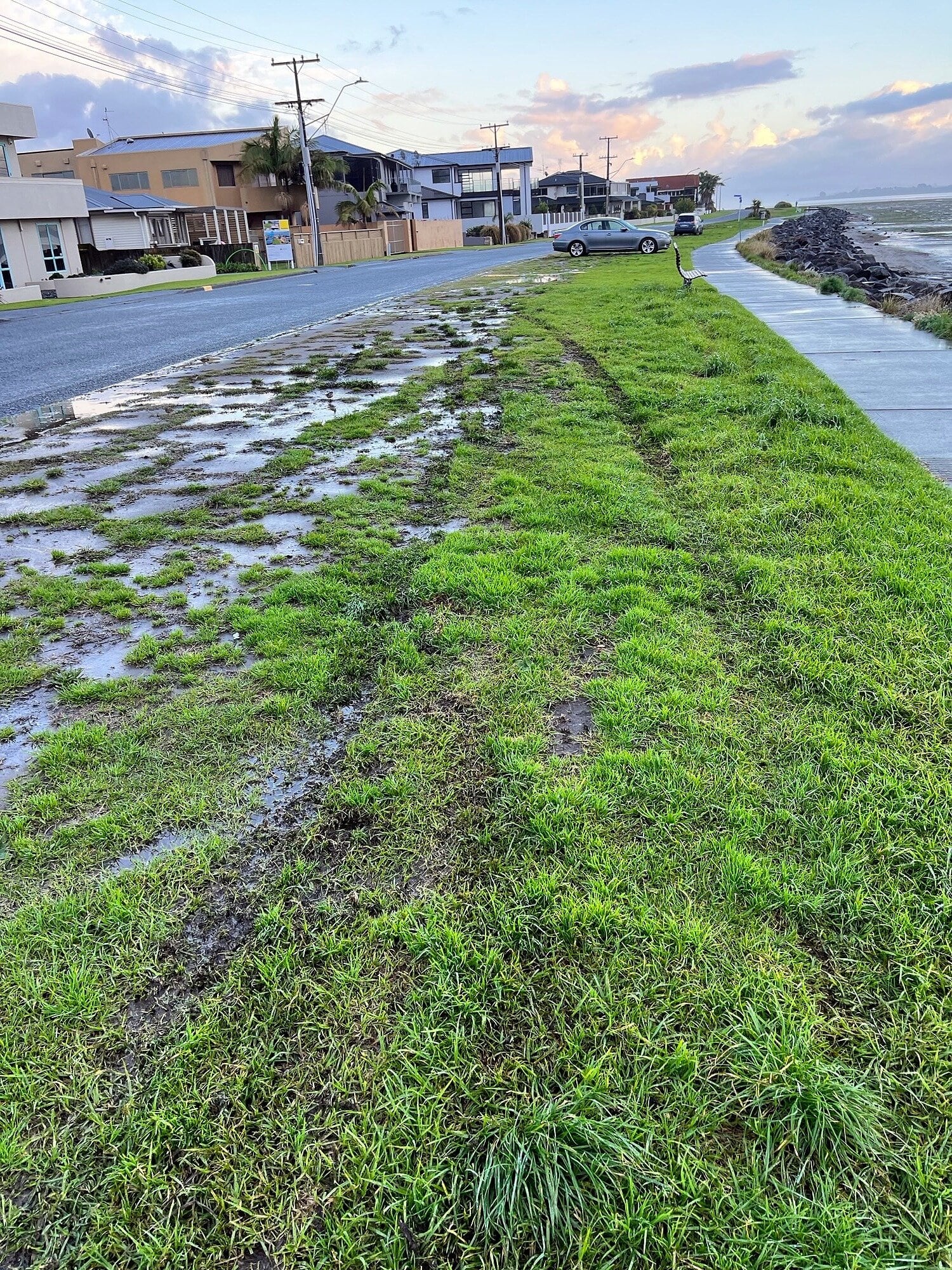Residents of Harbour Drive are worried someone using the path will be injured by a dangerous or speeding driver. Photo / Supplied