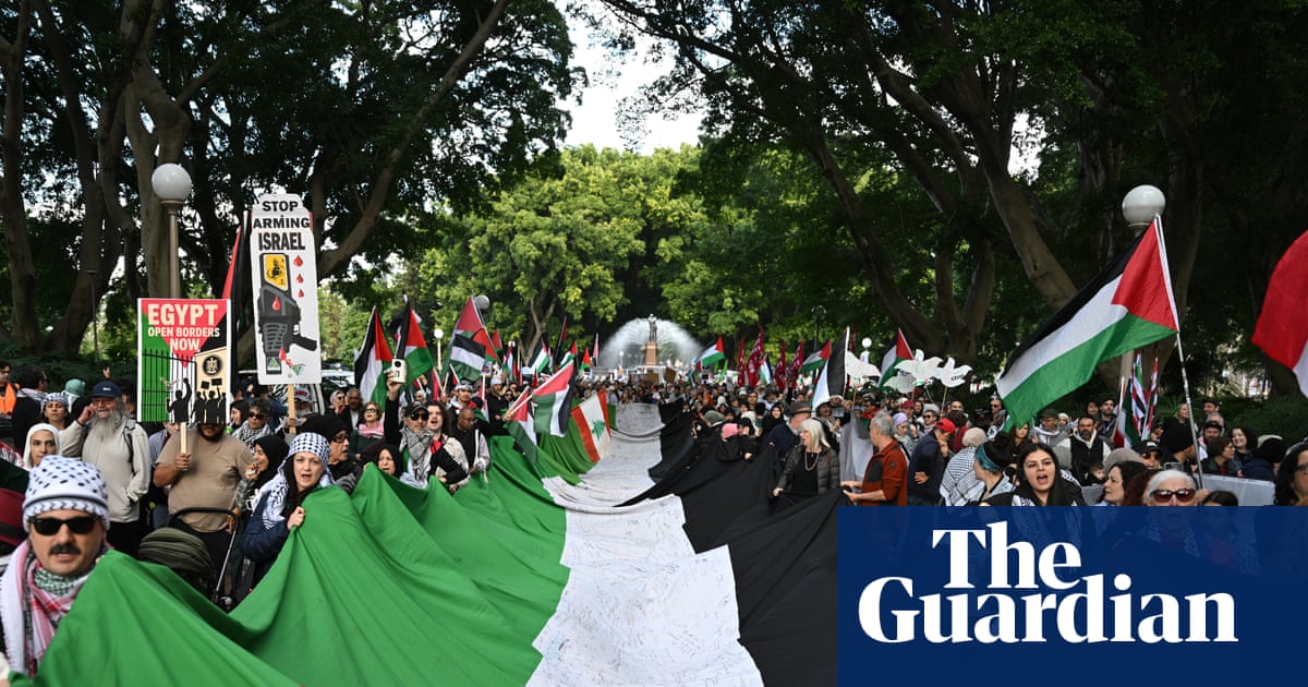 Five Labor MPs defy NSW premier and vow to attend pro-Palestine march across Sydney Harbour Bridge | Gaza