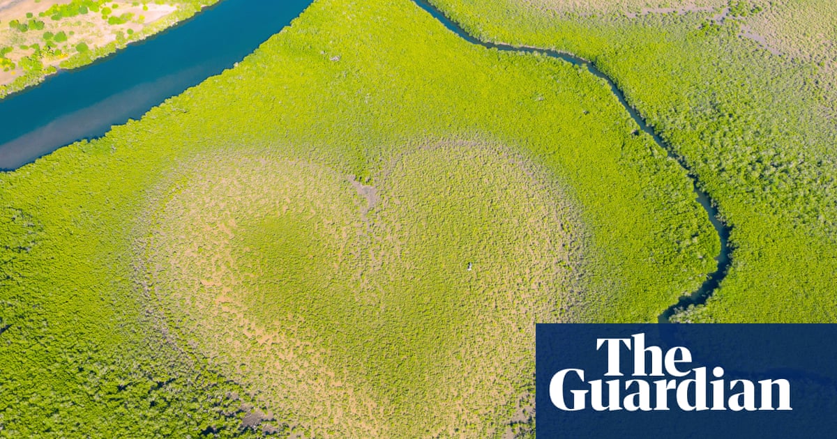 The heart-shaped mangrove formation fading due to rising seas | Pacific islands