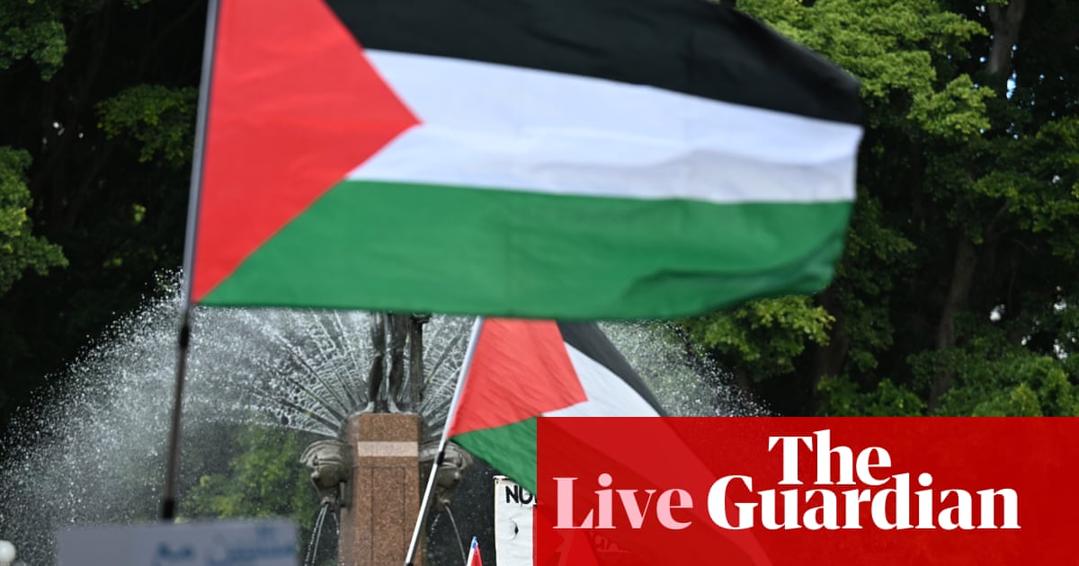 Australia news live: major traffic delays expected from pro-Palestine protest across Sydney Harbour Bridge; Labor MP Ed Husic to march | Australia news