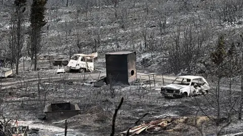 Getty Images A scene of devastation after a wildfire swept through an area. everything is covered in ash and all vegetation is a black cinder. In the centre of shot, two burnt out cars sit.