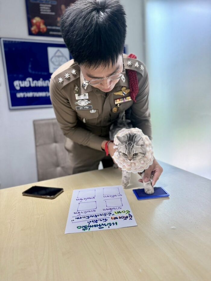 Police officer helping cat make a paw print for her mugshot after attacking officers in a viral arrest photo.