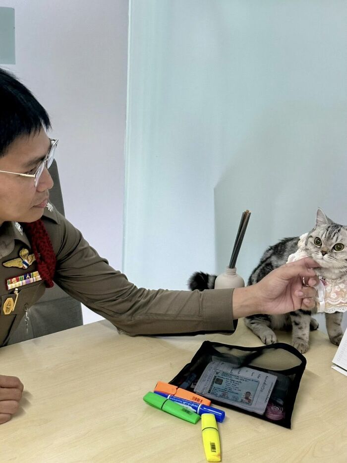 Police officer gently holding a cat wearing a lace collar, related to viral police cat mugshot and arrest story.