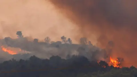 Reuters A thick forest burning bright orange with thick plumes of smoke