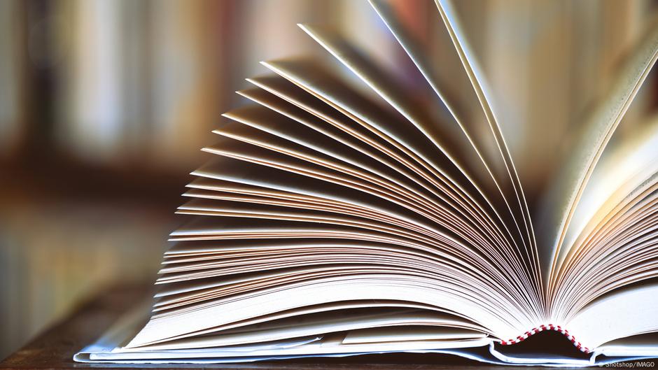 'Skibidi,' 'delulu' make their way into Cambridge Dictionary – DW – 08/18/2025