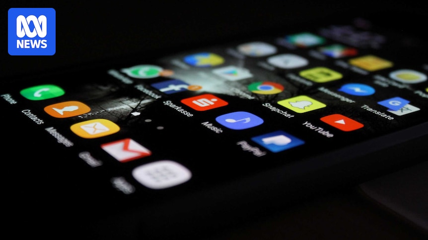 Social media age verification possible but laden with risks, landmark study warns