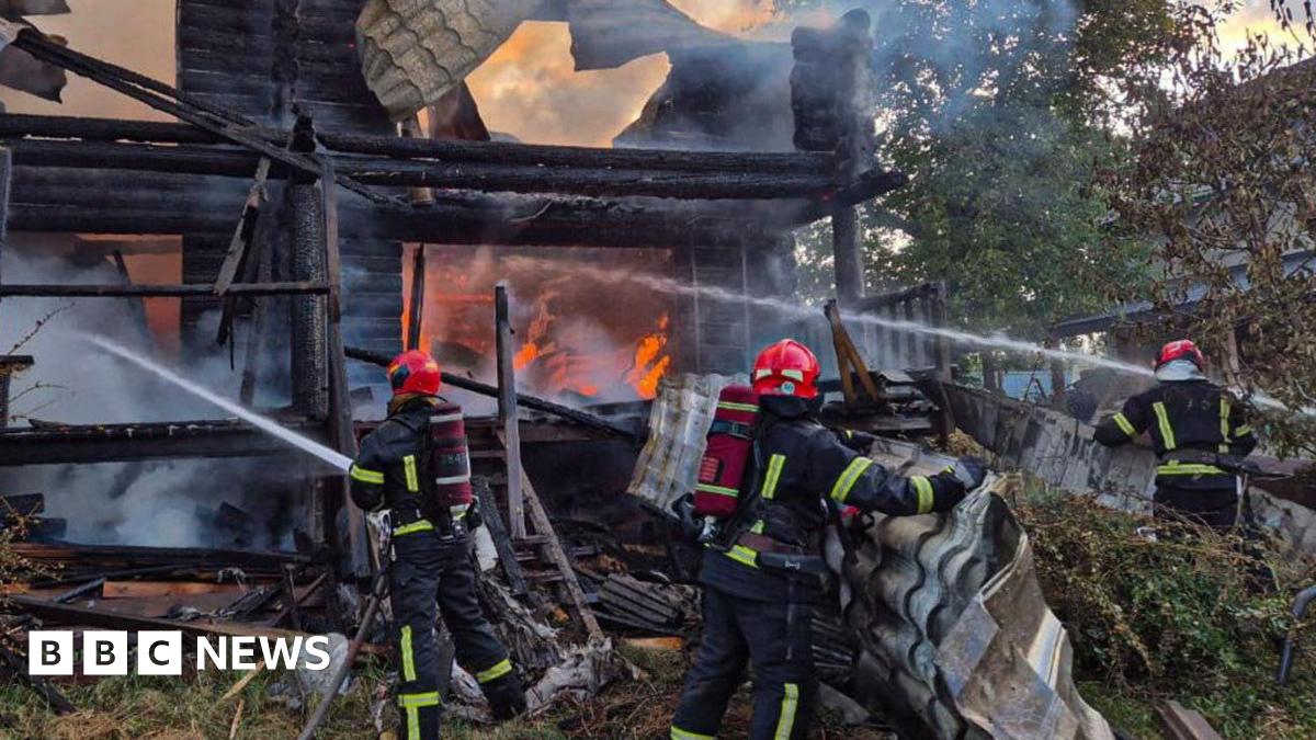 A Yangtze finless river porpoise underwater looks into the camera