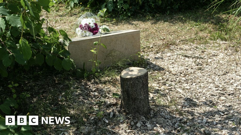 Macron vows justice after tree memorial for murdered Jew cut down