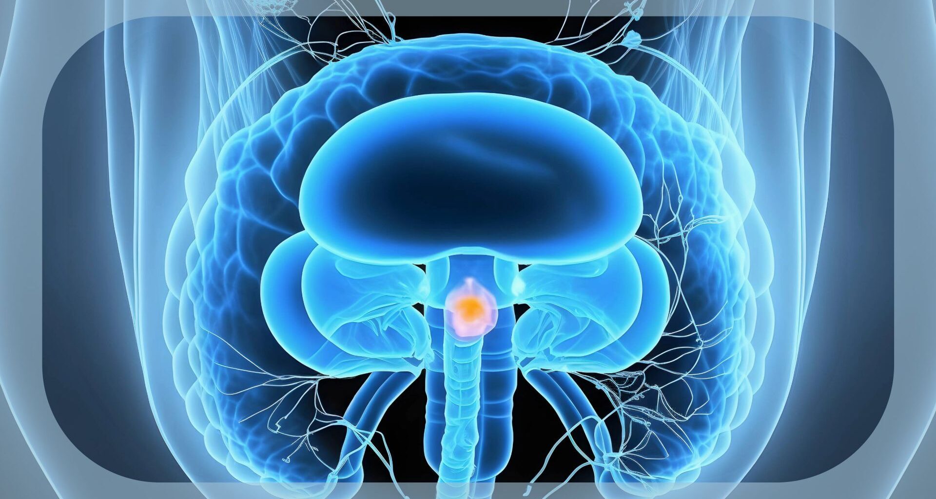 Alpha1H Demonstrates Clinical Benefit in NMIBC