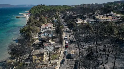 Getty The aerial view of Canakkale in Turkiye shows beautiful blue sea to the left with a whole area of forest scorched and blackened to the right with homes and cars dotted around