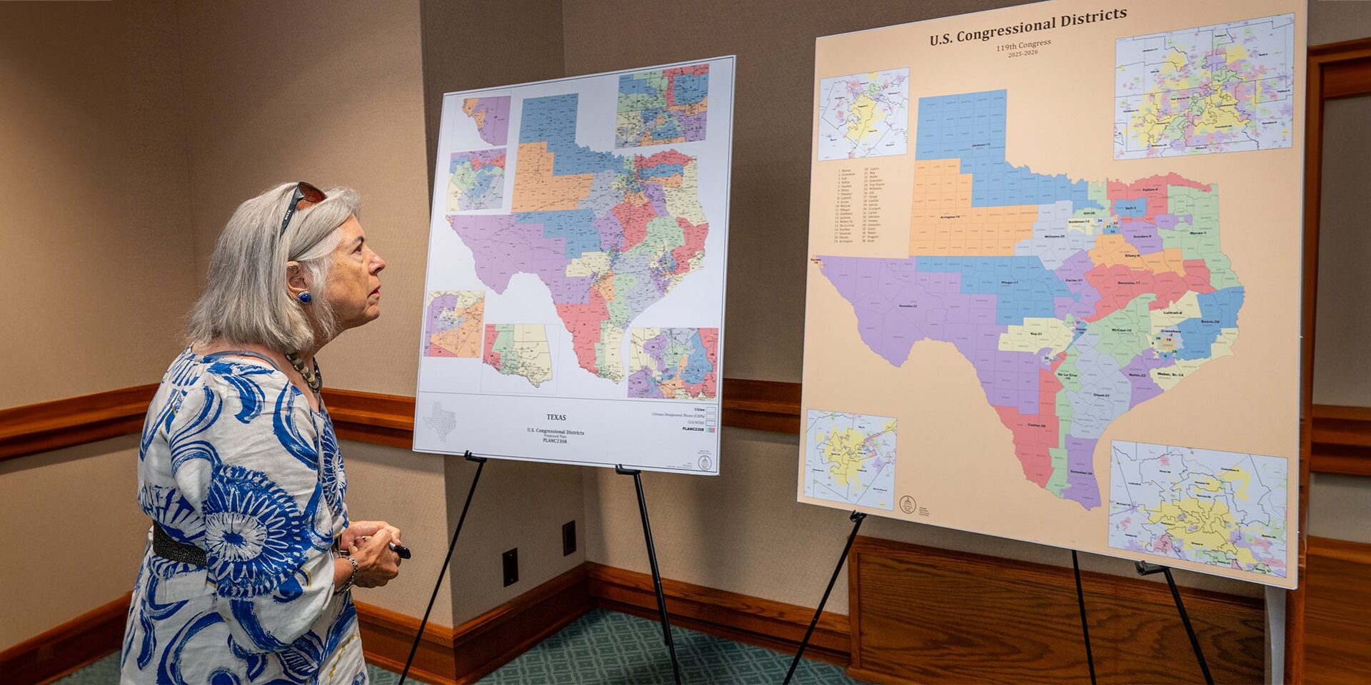 Gerrymandering erodes confidence in democracy | UCR News