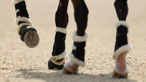 Getty Images A horse walks through a school. The ground consists of a sand-like material. The horse wears protective fabric covers over its lower legs and just above its hooves.