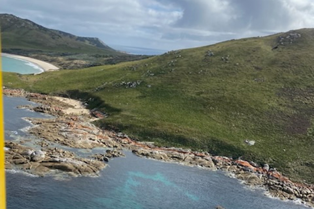 Police find no trace of small plane carrying missing Tasmanian couple