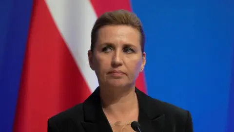 Reuters A woman with short hair and a dark jacket speaks in front of a Danish flag (file pic)