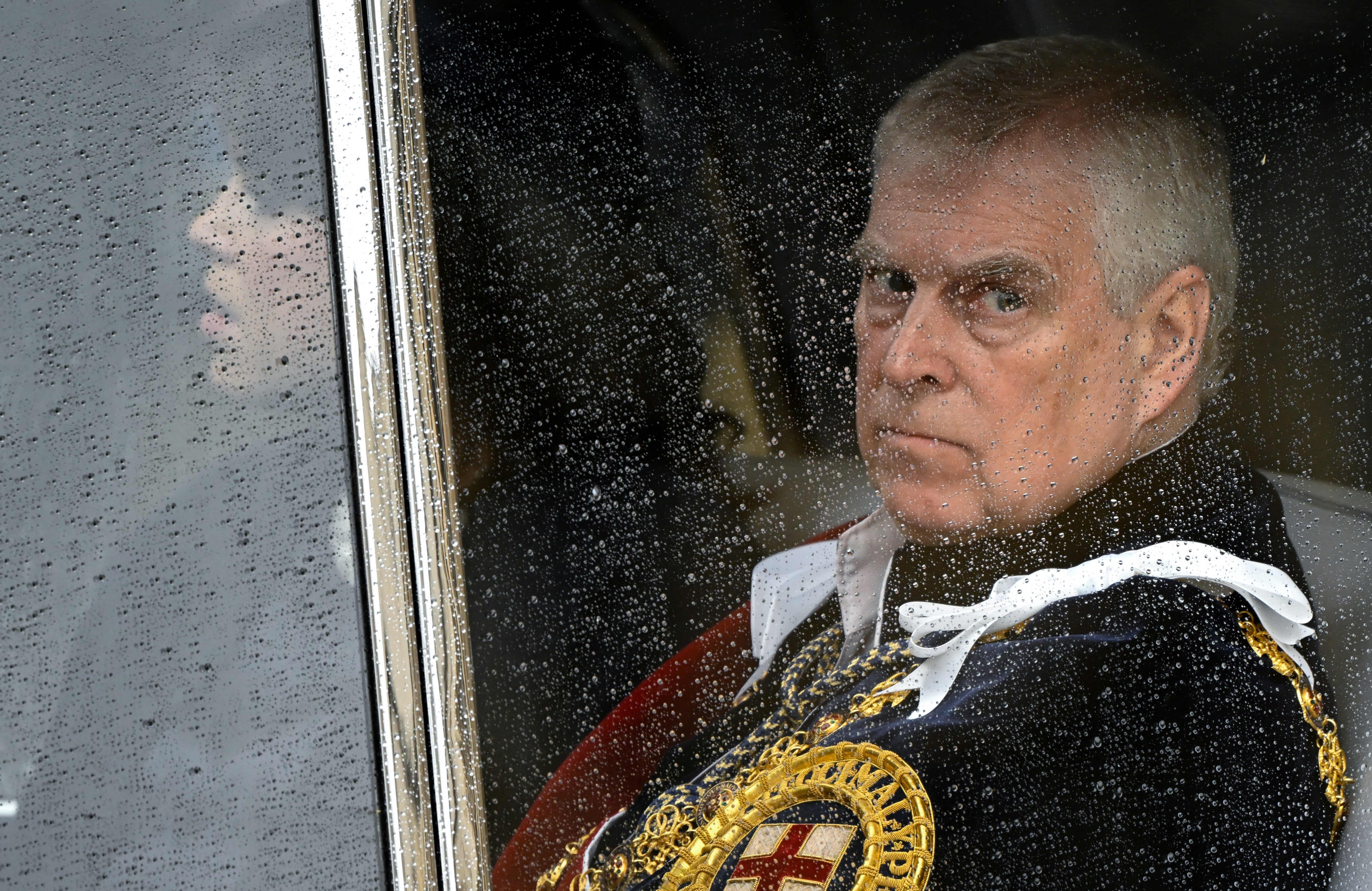 Duke of York has tension with both nephews, according to the book