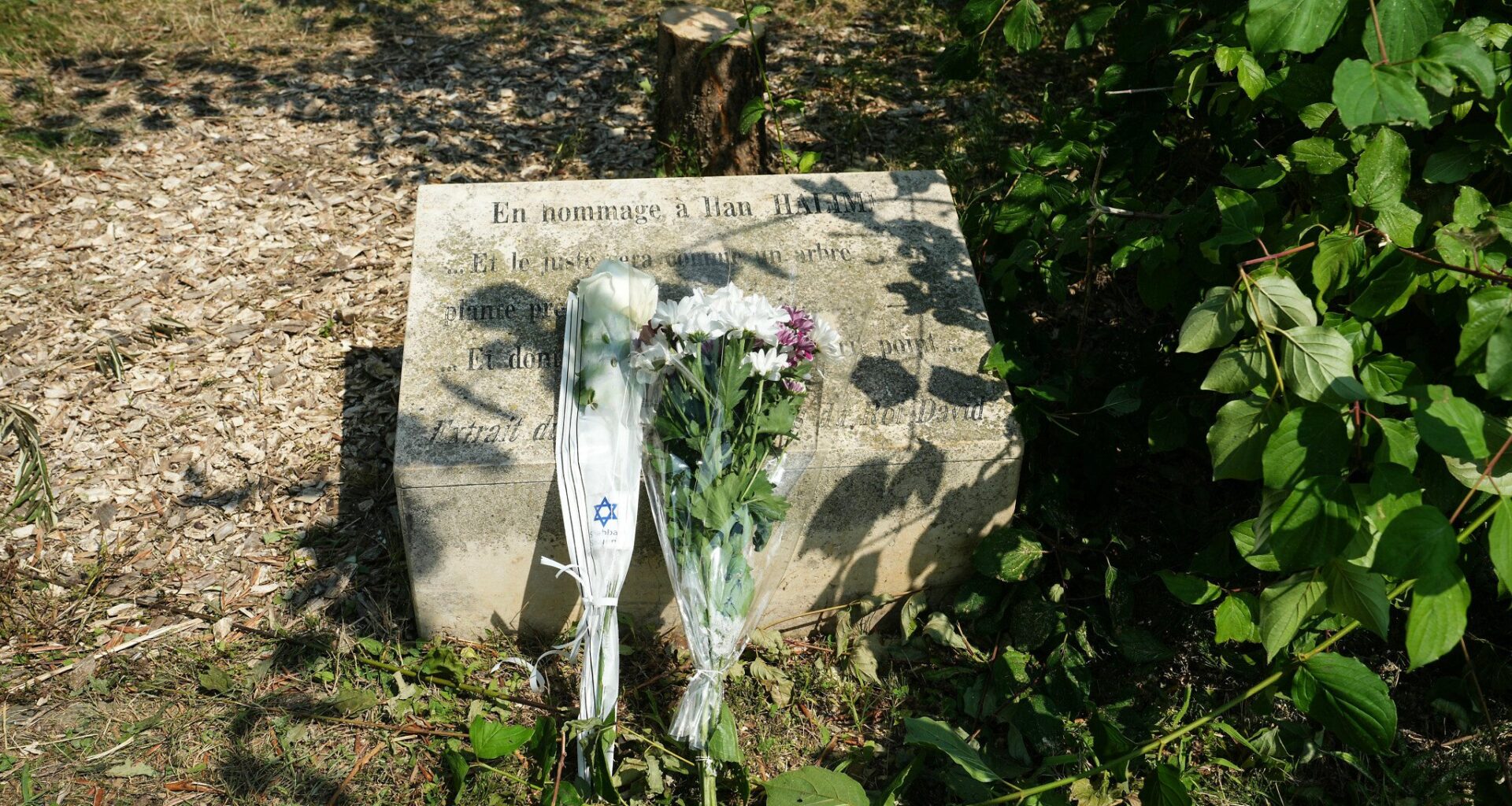 Macron vows to punish act of 'hate' after memorial tree for slain French Jew cut down