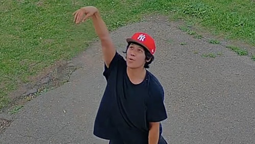 Police seek assistance identifying persons of interest in playground arson