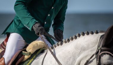 Showjumping Ireland’s boardroom rocked by turmoil over claims of financial irregularities – The Irish Times