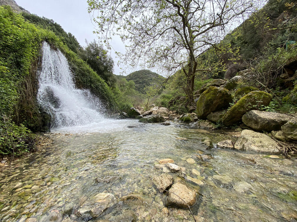 המפל היפה של עין זיו