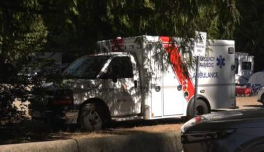 Mother, five-month-old baby killed by falling tree at B.C. campground - BC