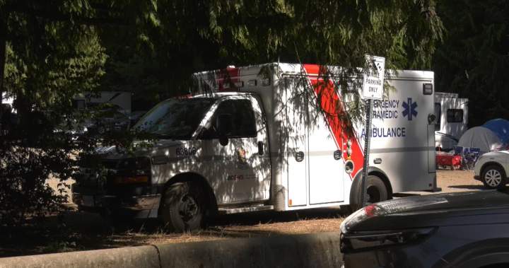 Mother, five-month-old baby killed by falling tree at B.C. campground - BC