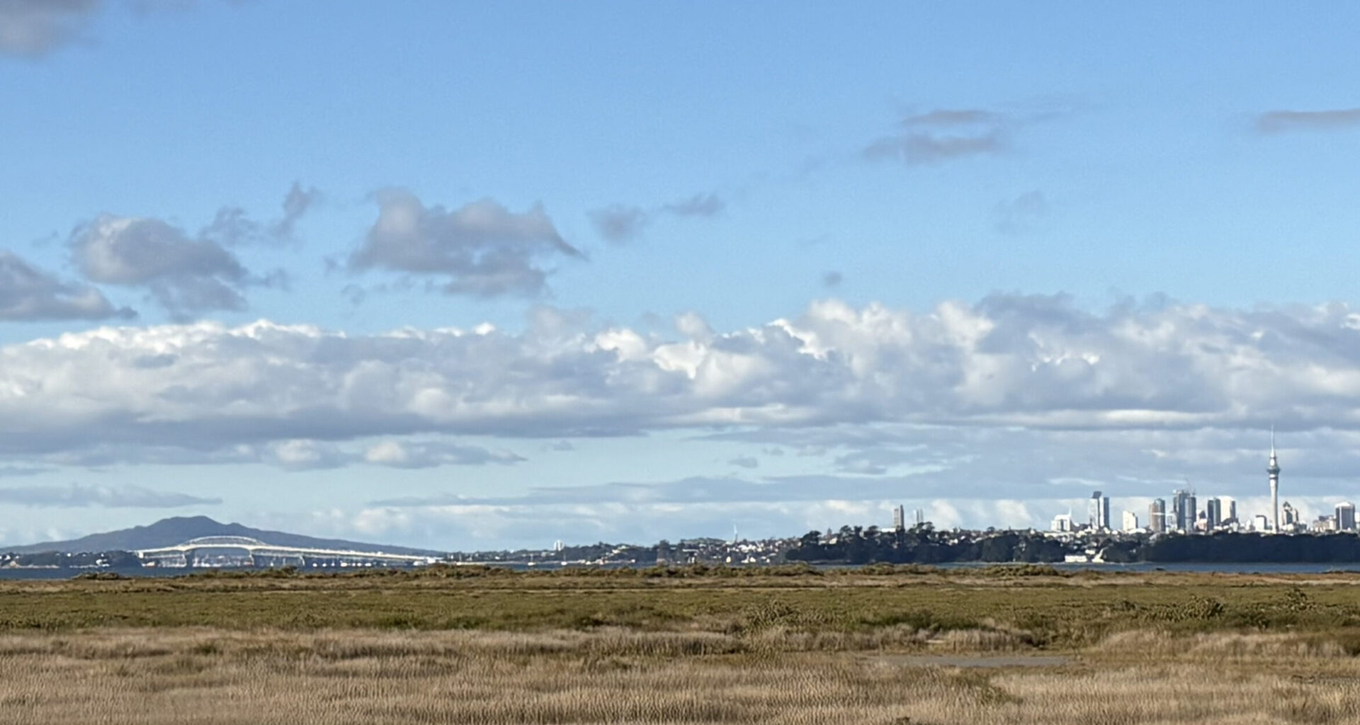 Weekly Roundup 8-August-2025 - Greater Auckland