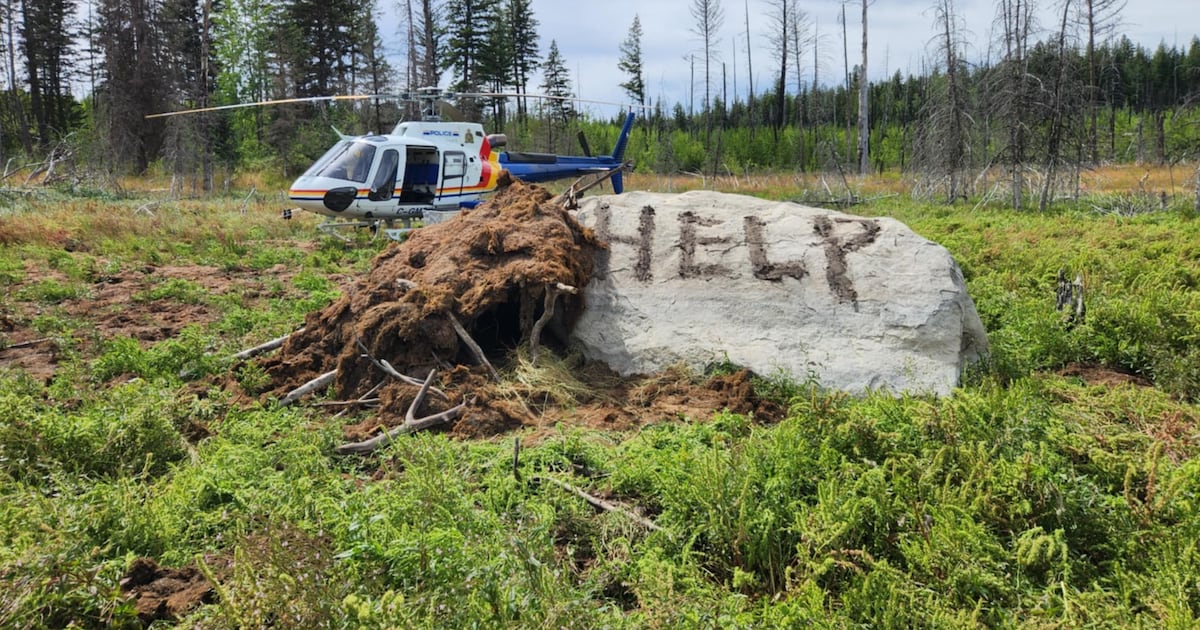B.C. man lucky to be alive after nearly 2 weeks in the wilderness - CTV News