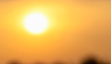 July was Earth’s 3rd warmest on record, scientists say