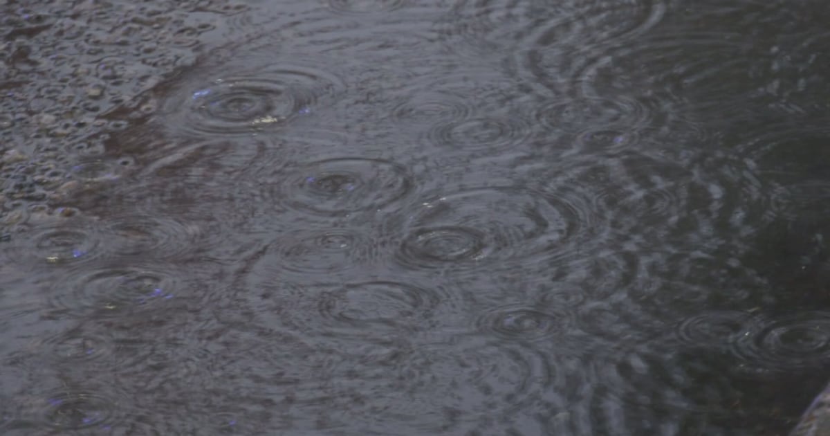 How much rain fell overnight in Manitoba - CTV News