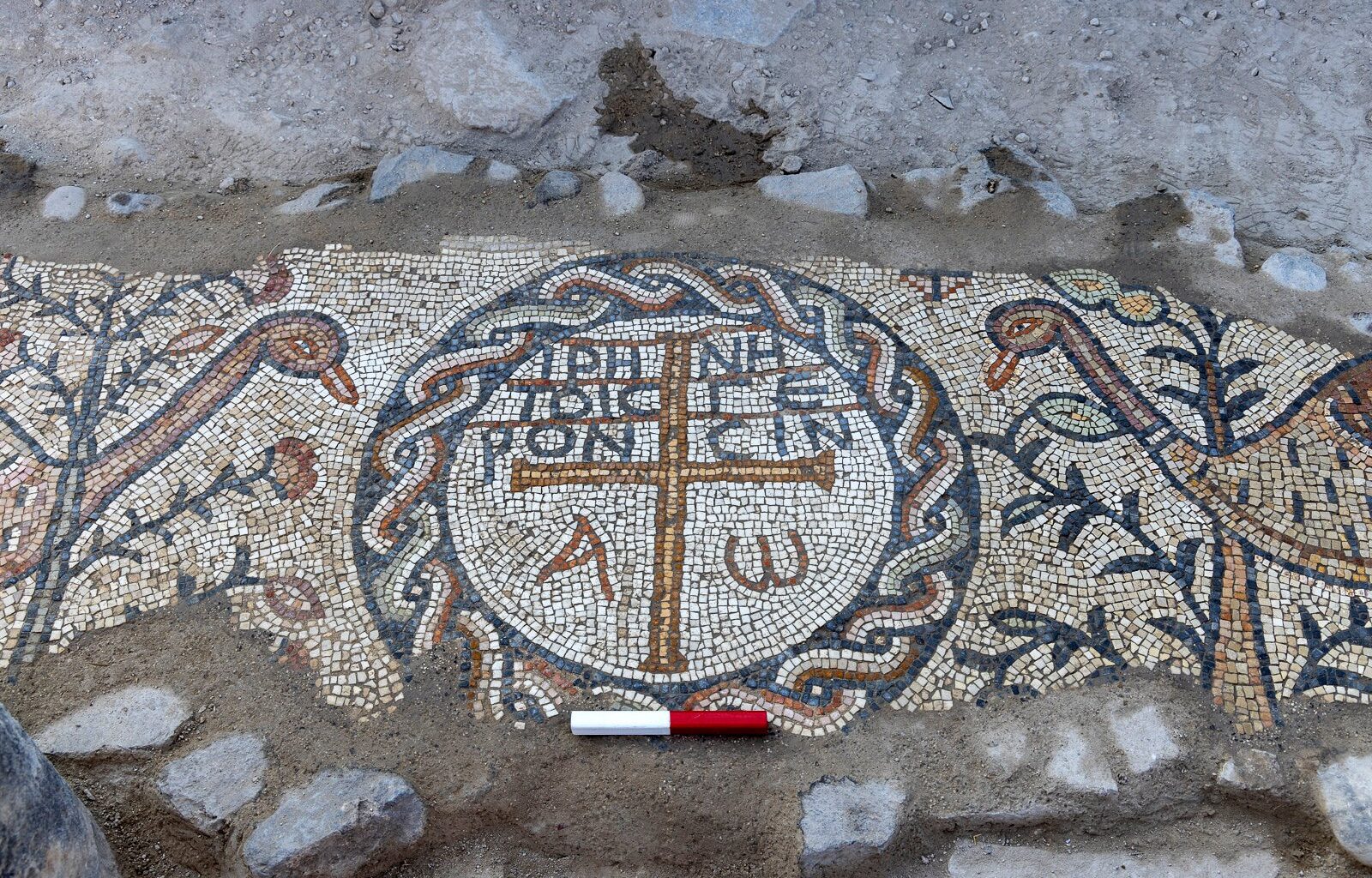 1,600 years of care: Archaeologists in northern Israel uncover world's earliest home for elderly