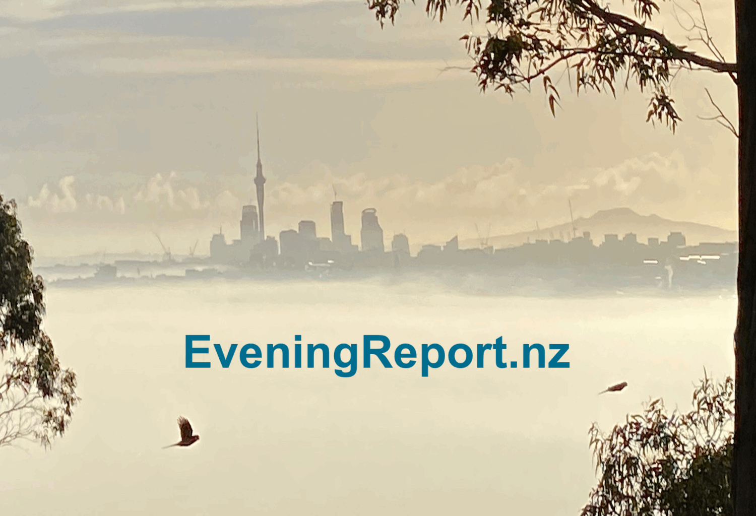 Twyford condemns weak action by NZ over Israel’s ‘ruthless’ apartheid