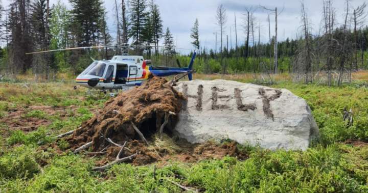 39 year-old missing in central B.C. wilderness found alive